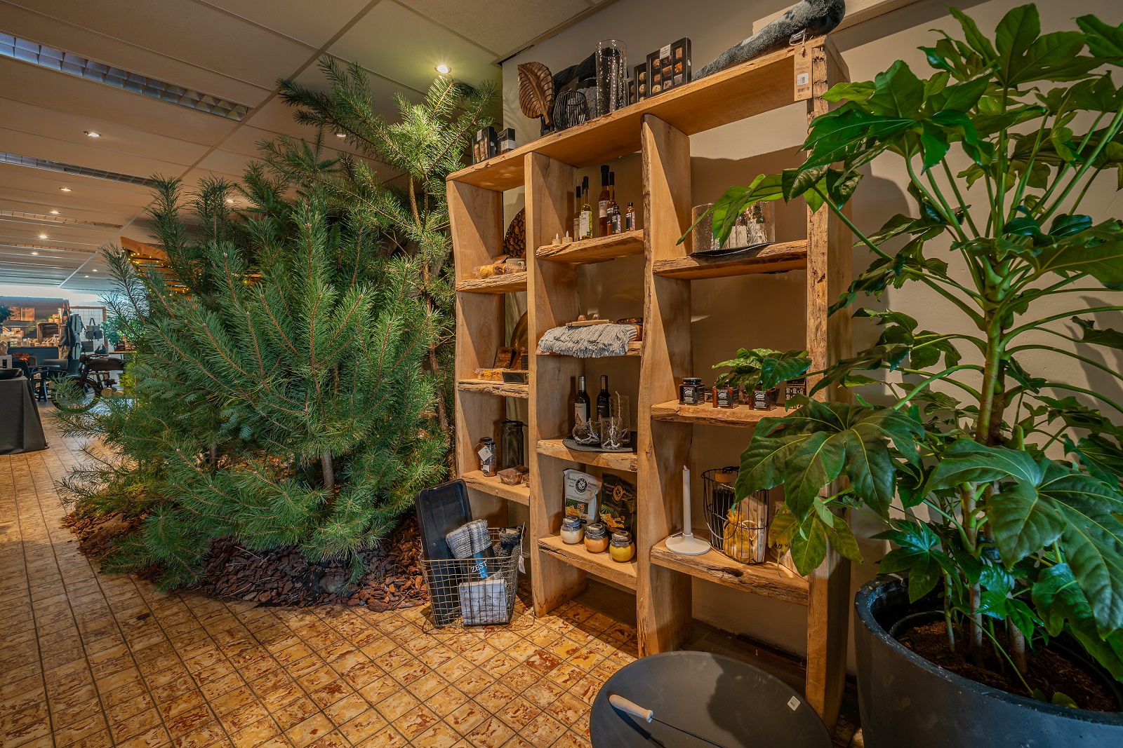 koster-sept23-foto-010